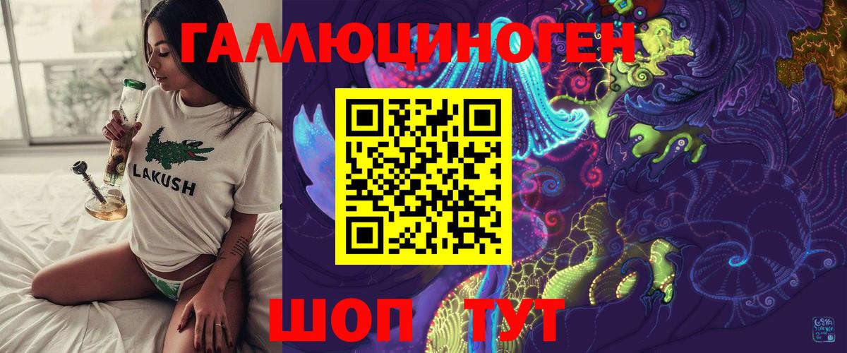 Галлюциногенные грибы Psilocybine cubensis Ногинск