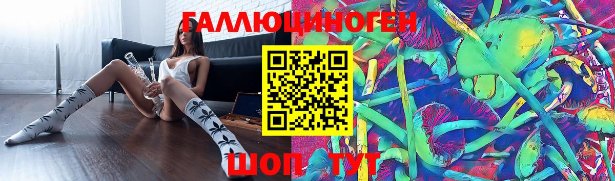 Псилоцибиновые грибы Psilocybine cubensis  Вход с VPN  Ногинск 