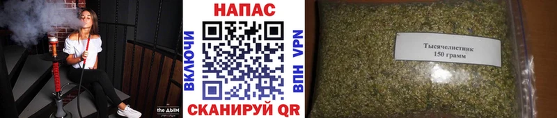 Бошки марихуана SATIVA & INDICA  ОМГ ОМГ ссылка  Ногинск 