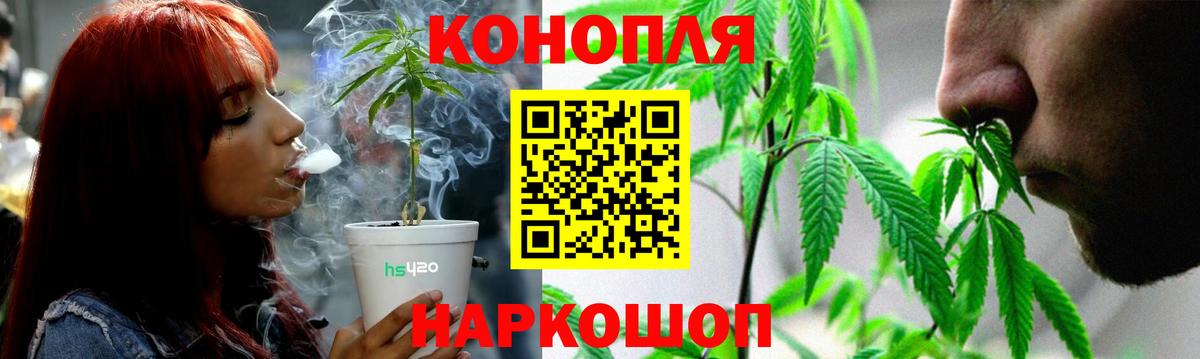 Бошки марихуана LSD WEED  Ногинск  Канабис OG Kush  Марихуана планчик  Канабис индика 